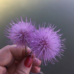 Meet your Posher, Katrin